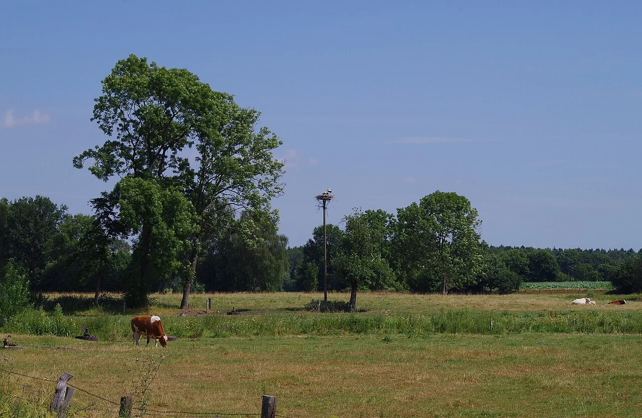 Ortsmotiv aus Heidmühlen